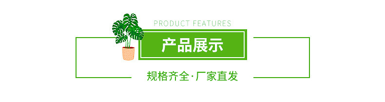 产品展示